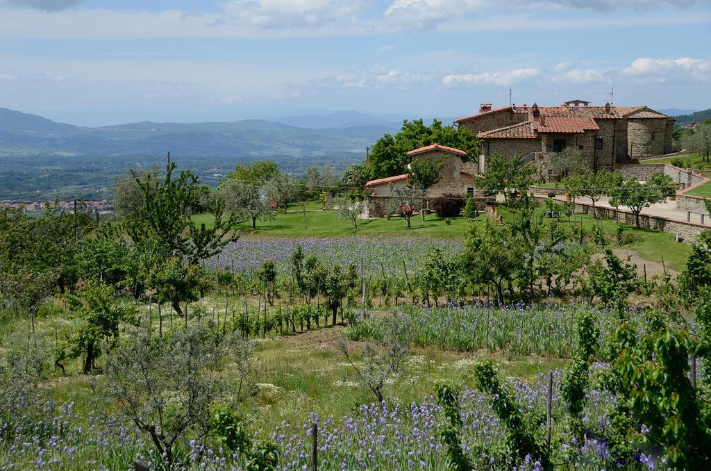 Castelfranco di Sopra Agriturismo Villa Iris מראה חיצוני תמונה