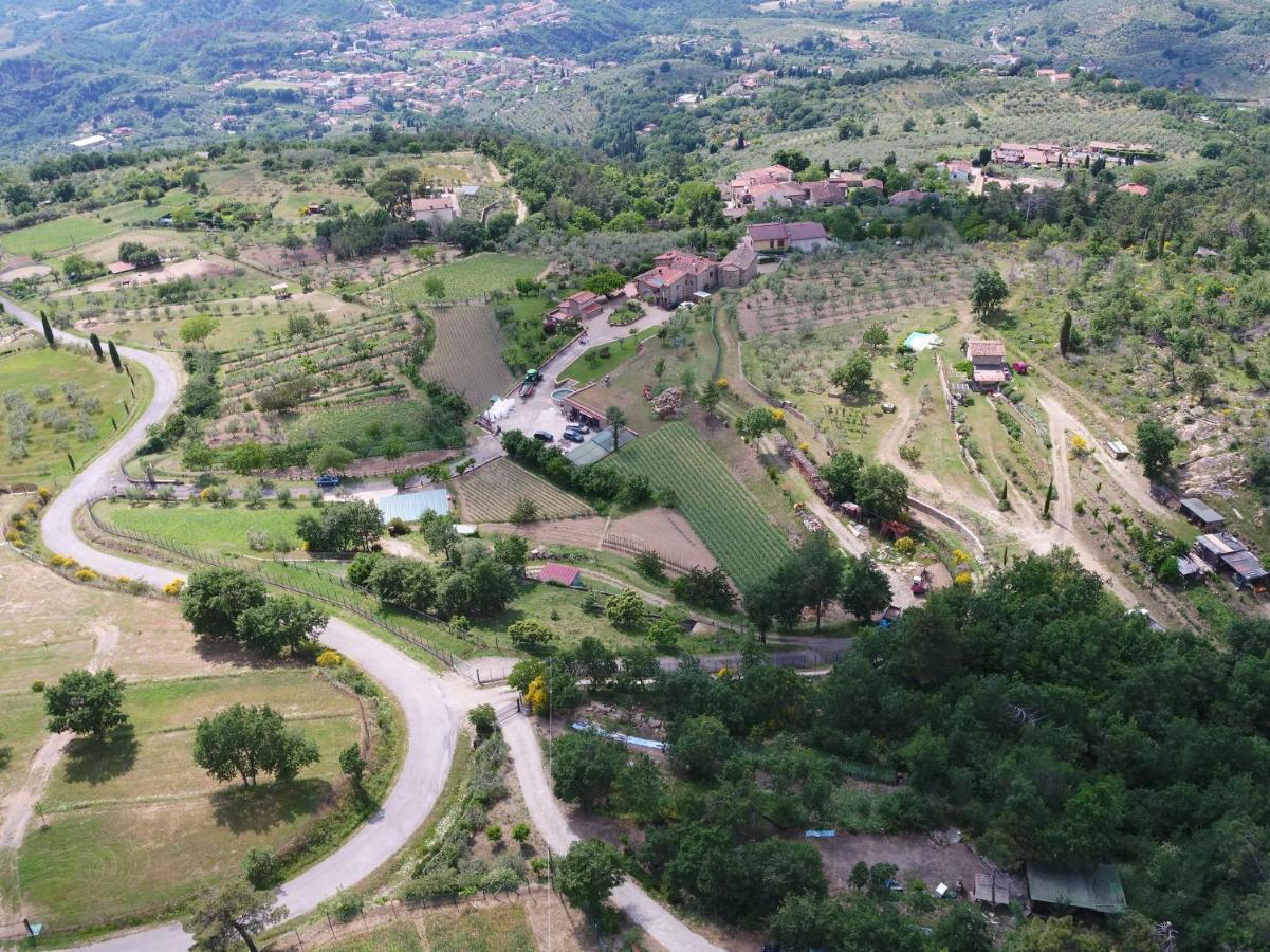 Castelfranco di Sopra Agriturismo Villa Iris מראה חיצוני תמונה